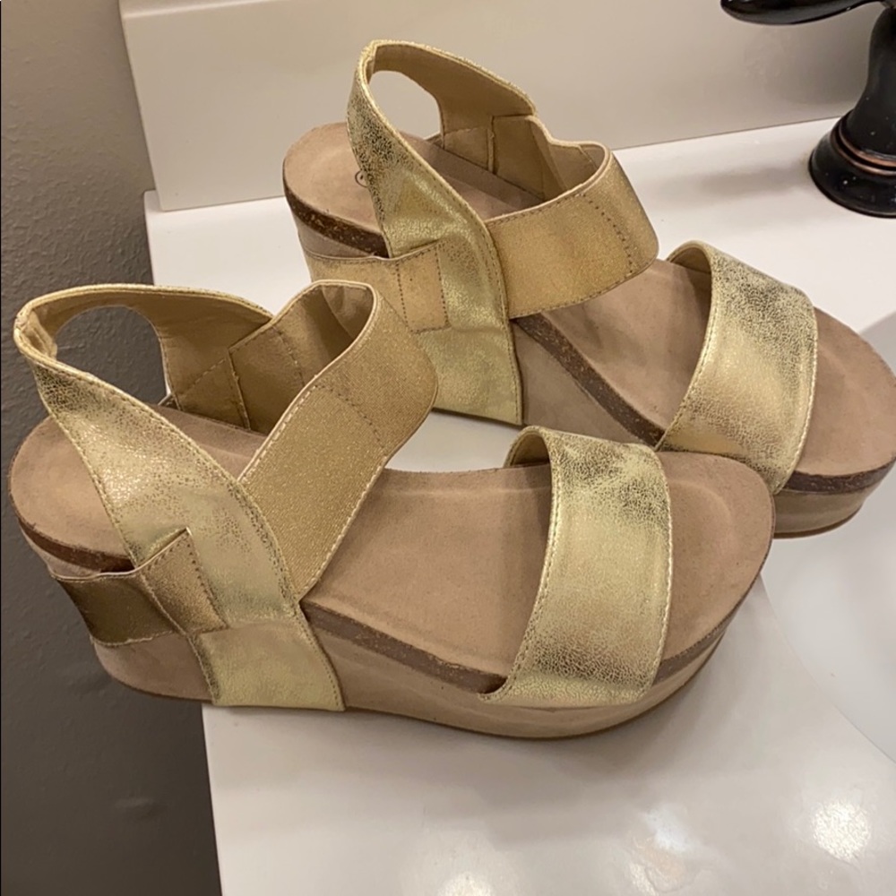 Nature Breeze Wedges